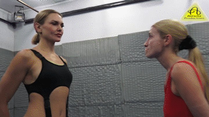 Constance vs Ginger