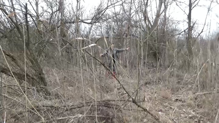 lose a boot in the forest
