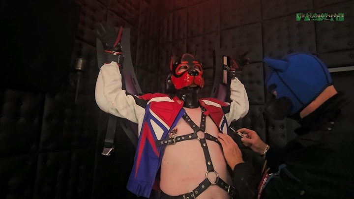 Playing Puppies Pleasure on the Cross Part 2 WMV