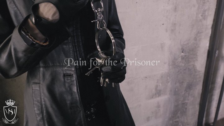 Pain For The Prisoner WMV
