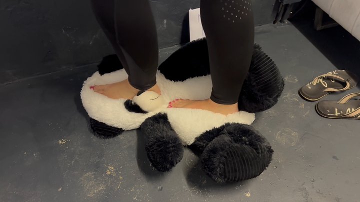 Part 1 - Crushing plushies Panda -Barefoot Teddy Bear Walk – Soft & Playful Pres