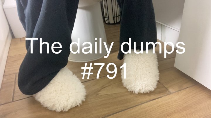 The daily dumps #791 mp4