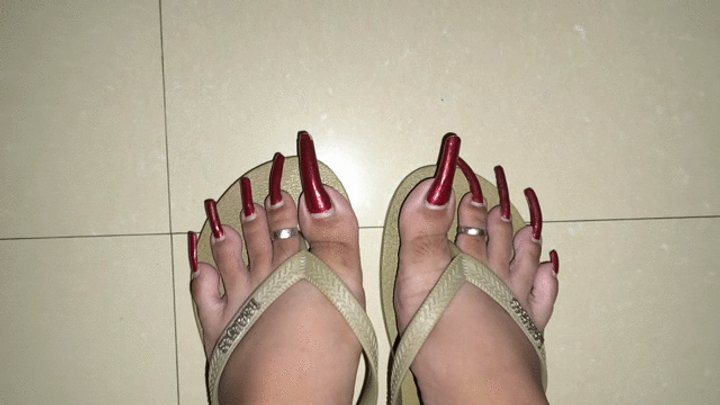 AlluringClaws' feet