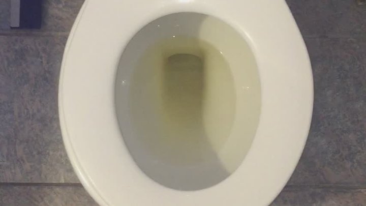 HANNAH MONTANA SIZE PEE IN MY TOILET