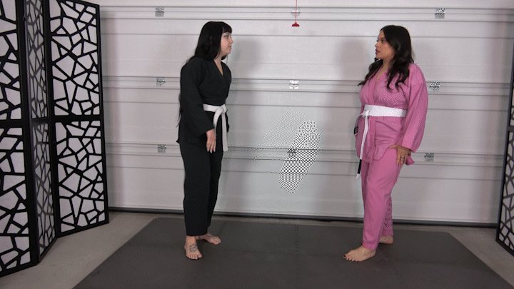 KARATE BALLBUSTING PRACTICE (4K)