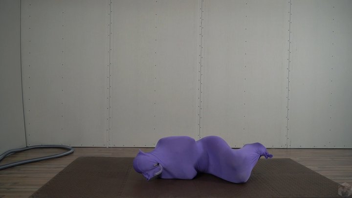 Sony packaging in nylon cocoons and a vacuum bag for storage vibrator
