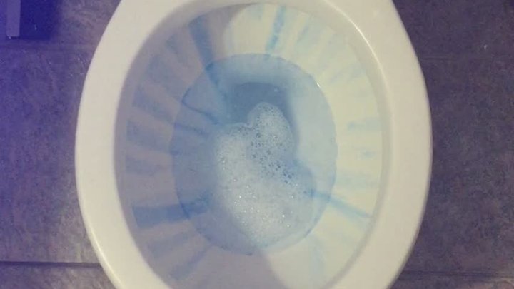 CARNIVAL TOILET TODAY