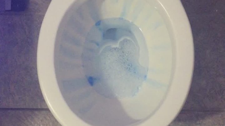 CARNEVIL TOILET TODAY
