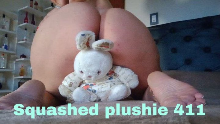 Squashed plushie 411