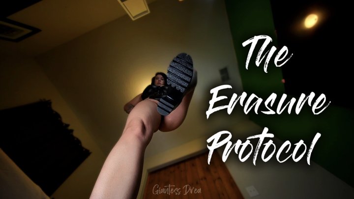 The Erasure Protocol (mp4)