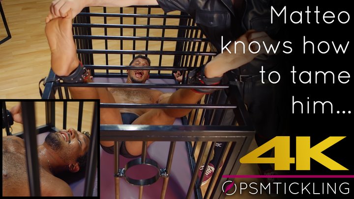 Hunk caged and tickled in the Cabinet 4K