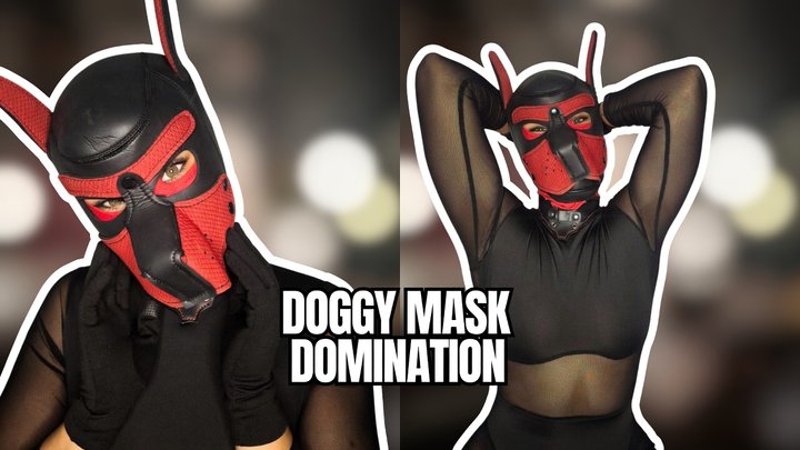 Doggy Mask Mocking you