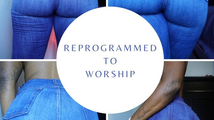 Reprogrammed To Worship