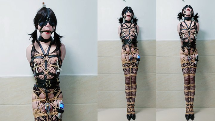 ANH-10 Anhuan high heel standing training electric play cum