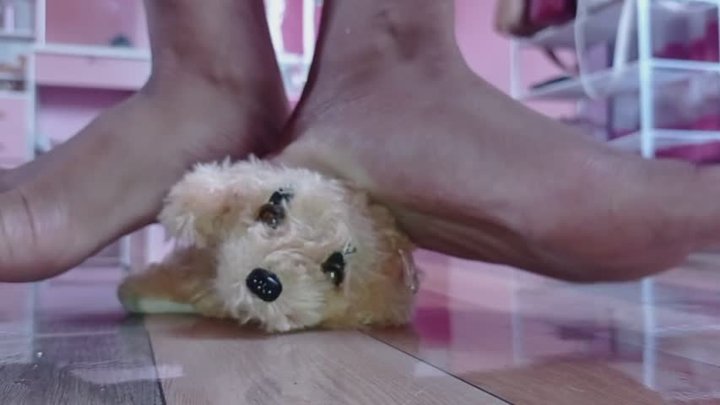 Crushing electric TOY dog Barefoot