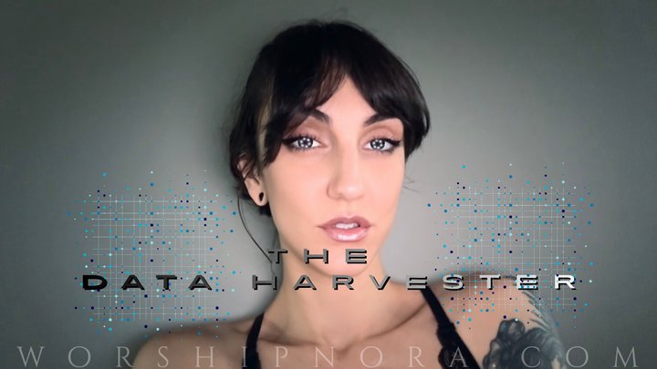 The Data Harvester