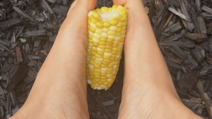 Barefoot in the Mulch: Sole Crush & Corn Play