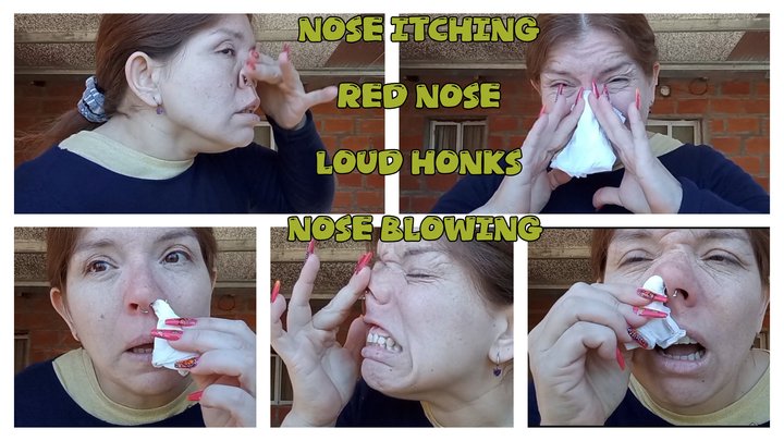 NOSE BLOWING AND LOUD HONKS