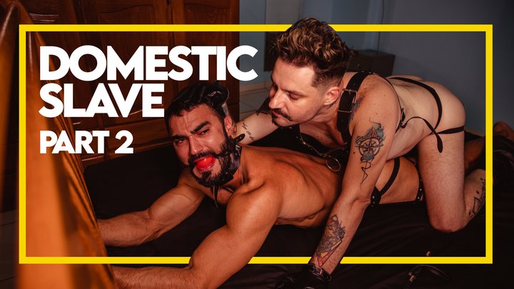 Domestic Slave - Part 2 (1080p) Gay bondage - Gay Domination - Spanking - Muscle