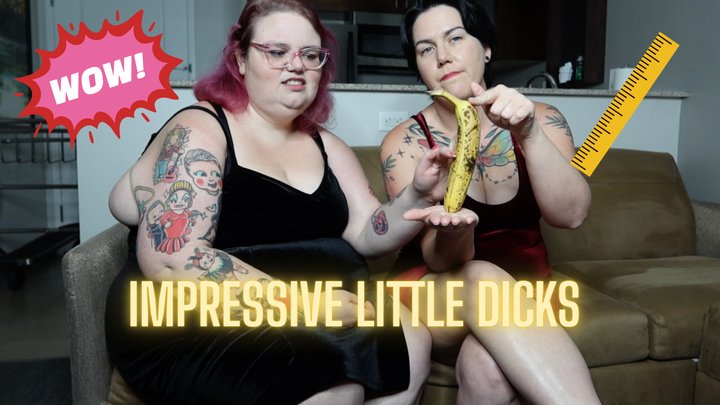 Impressive Little Dicks (WMV)