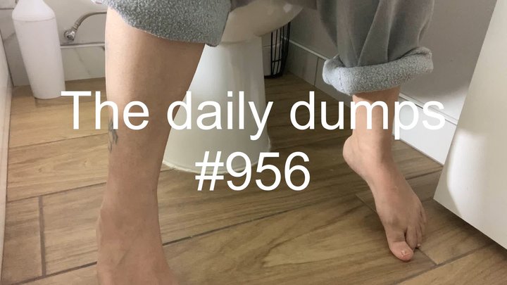 The daily dumps #956 mp4
