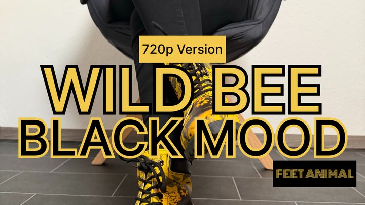 Vivid Strike - Graphic Combat Boots & Crossed Stance | Lady Evaa | 720p Version