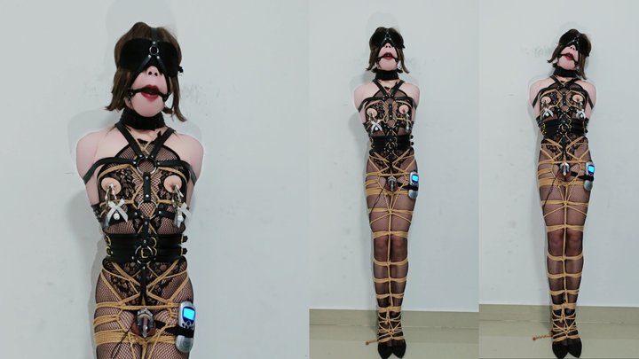 ANH-12 Anhuan net sexy and high heel standing training