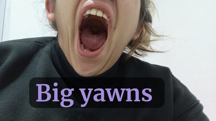 Lola yawns a lot