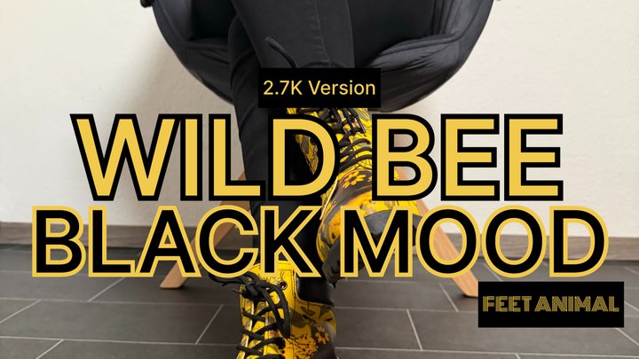 Vivid Strike - Graphic Combat Boots & Crossed Stance | Lady Evaa | 2,7K Version