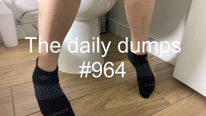 The daily dumps #964 mp4