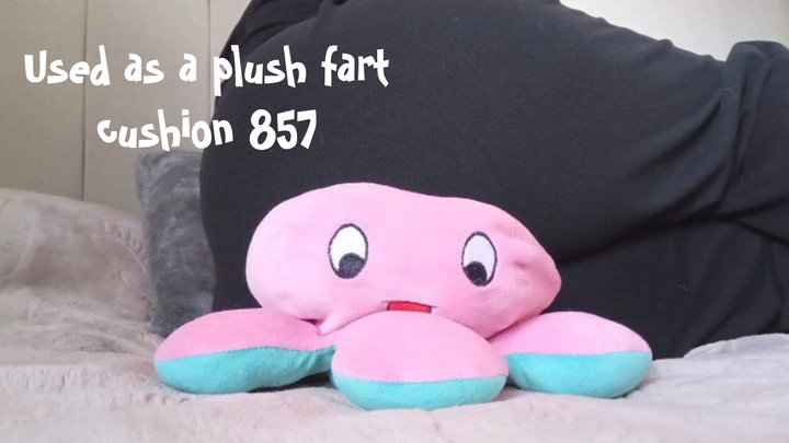Used as a plush fart cushion 857