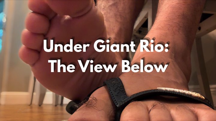 Under Giant Rio: The View Below