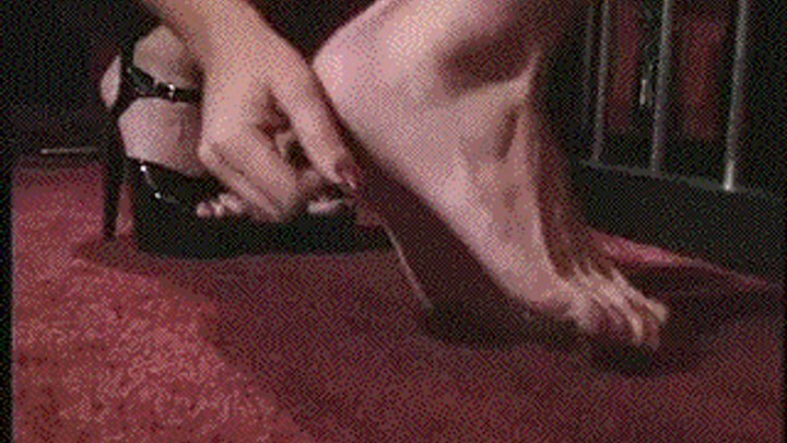 A Session With Nicolette (MP4)