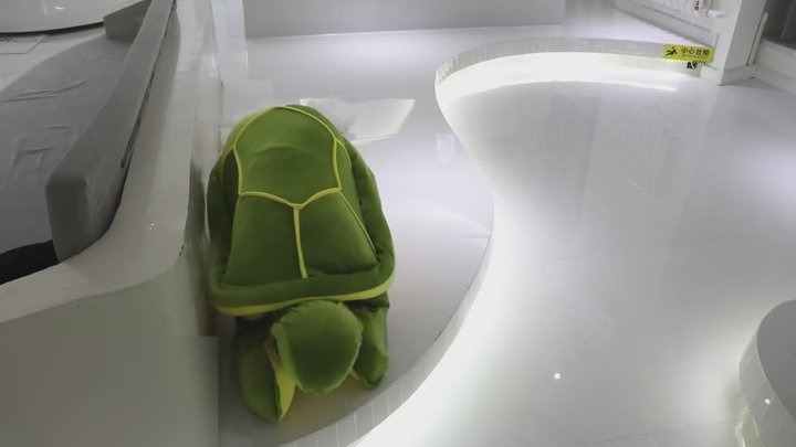 gll1-Turn a girl into a turtle