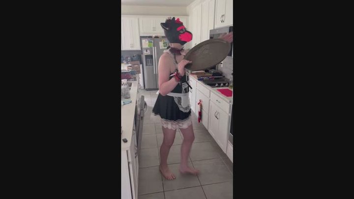 Cat Maid Cleanup Duty - Nibbler Goes Rogue With 3 Days Home Alone