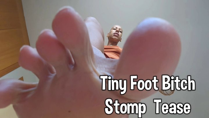 Tiny Foot Bitch Stomp Tease
