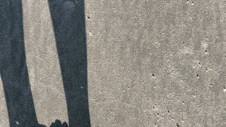 Sandy Walk on the Beach