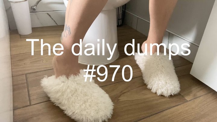 The daily dumps #970 mp4
