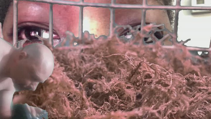 Giantess - Giantess MXDominion’s Caged Tiny Pet, shrinking fetish, femdom 1080