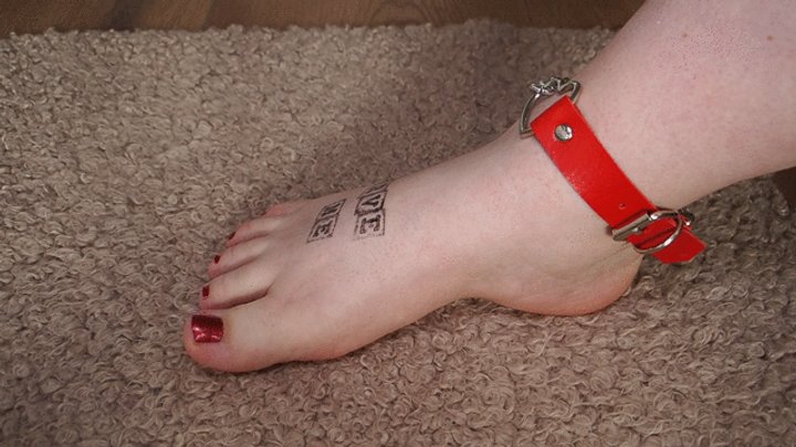 Serve Me #1 — You Can Already See the Message