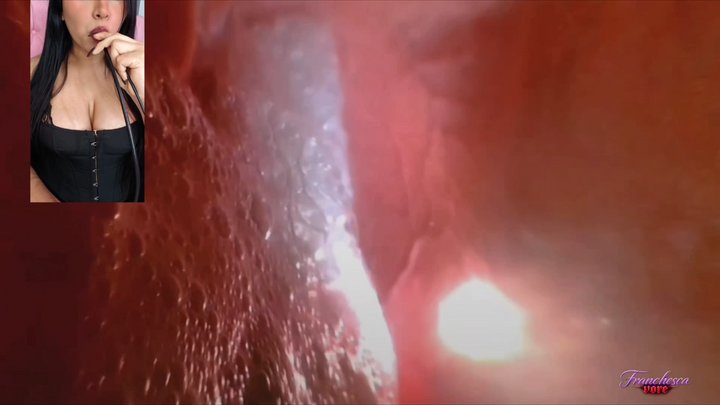 A tour inside the stomach of a giant woman