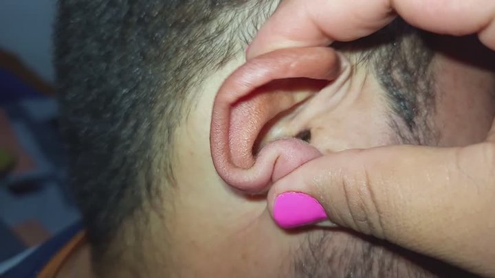 Me encanta sus orejas, las acaricio en primer plano.