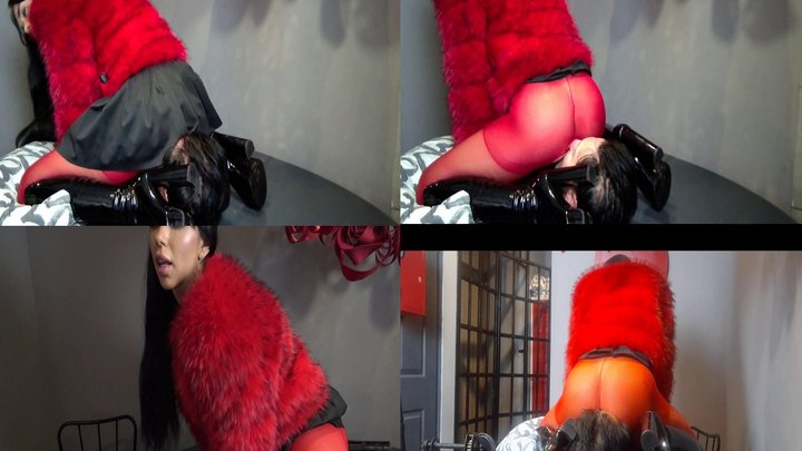 Ass Worship 86 mp4