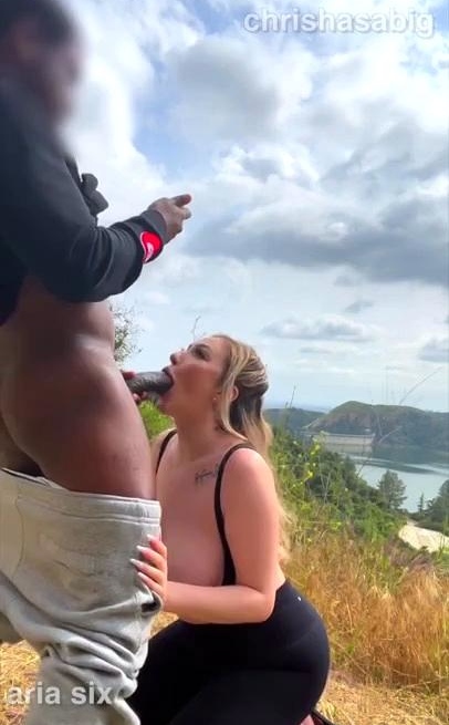 Busty Blonde Having A Hardcore Outdoor BBC Pounding On