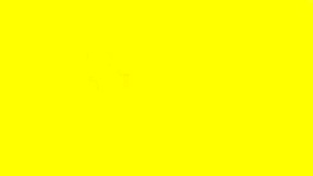 x1x884CAC2BE9FC4BC907