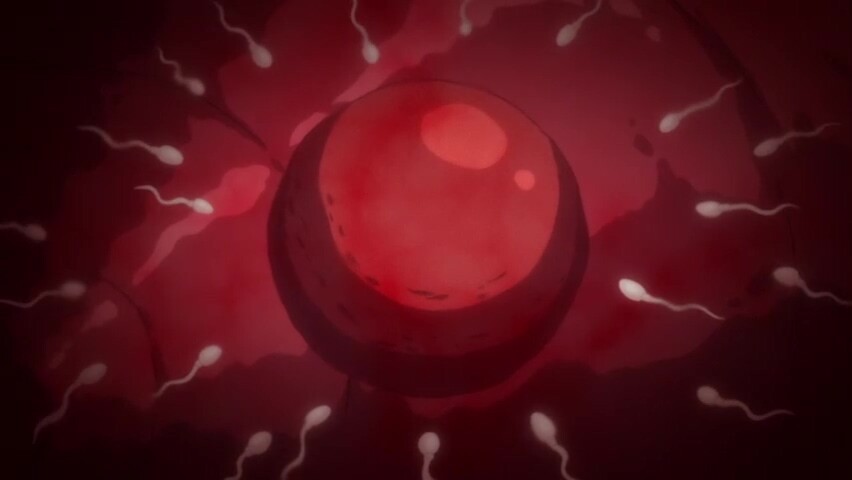 Vivid Passion inside the shadow_19080201p0