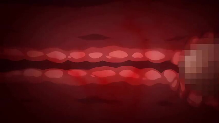 Endless Shape with Moment_25062704p0