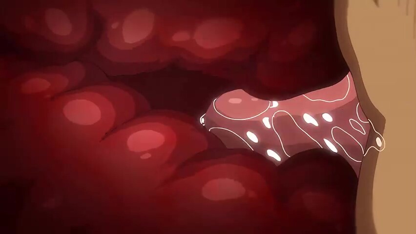 Soft Story under the window_24112904p0